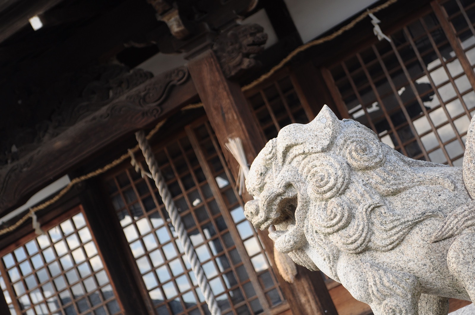 五宮神社の狛犬